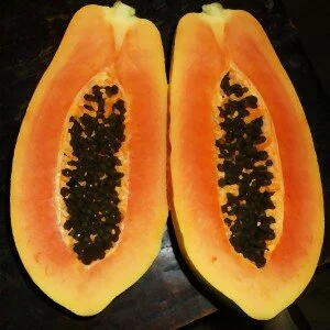 healthy smoothie recipes for weight loss image of papaya