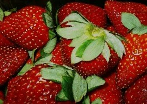 strawberry smoothie recipes fruit strawberries