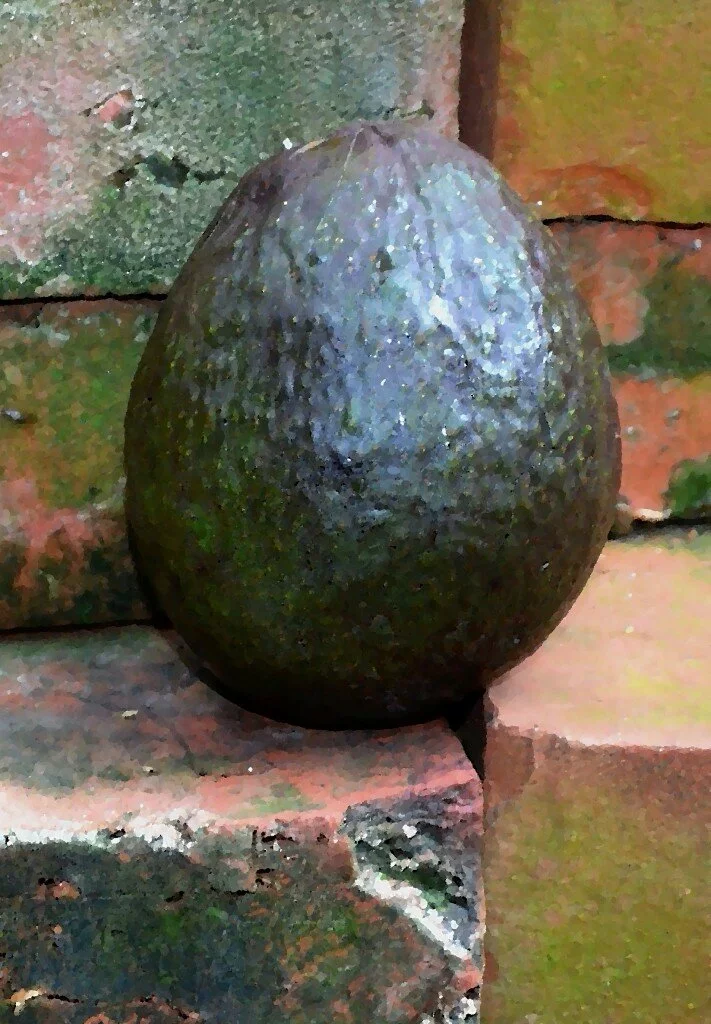 Avocado Smoothies Weight Loss Image Against A Brick Wall 